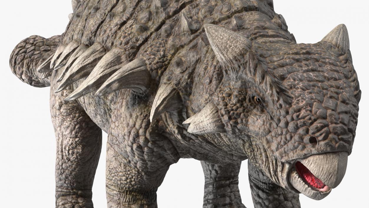 3D model Ankylosaurus from Desert Habitats Rigged