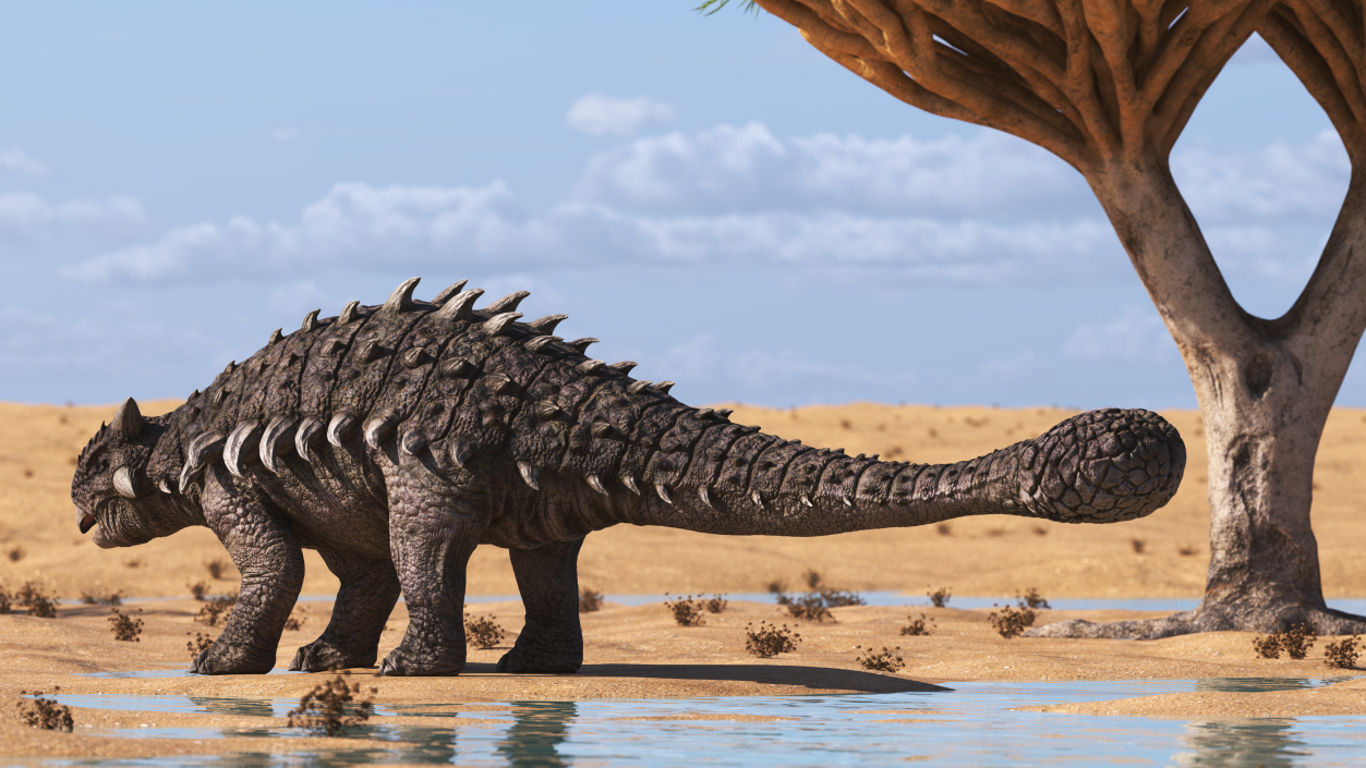 3D model Ankylosaurus from Desert Habitats Rigged