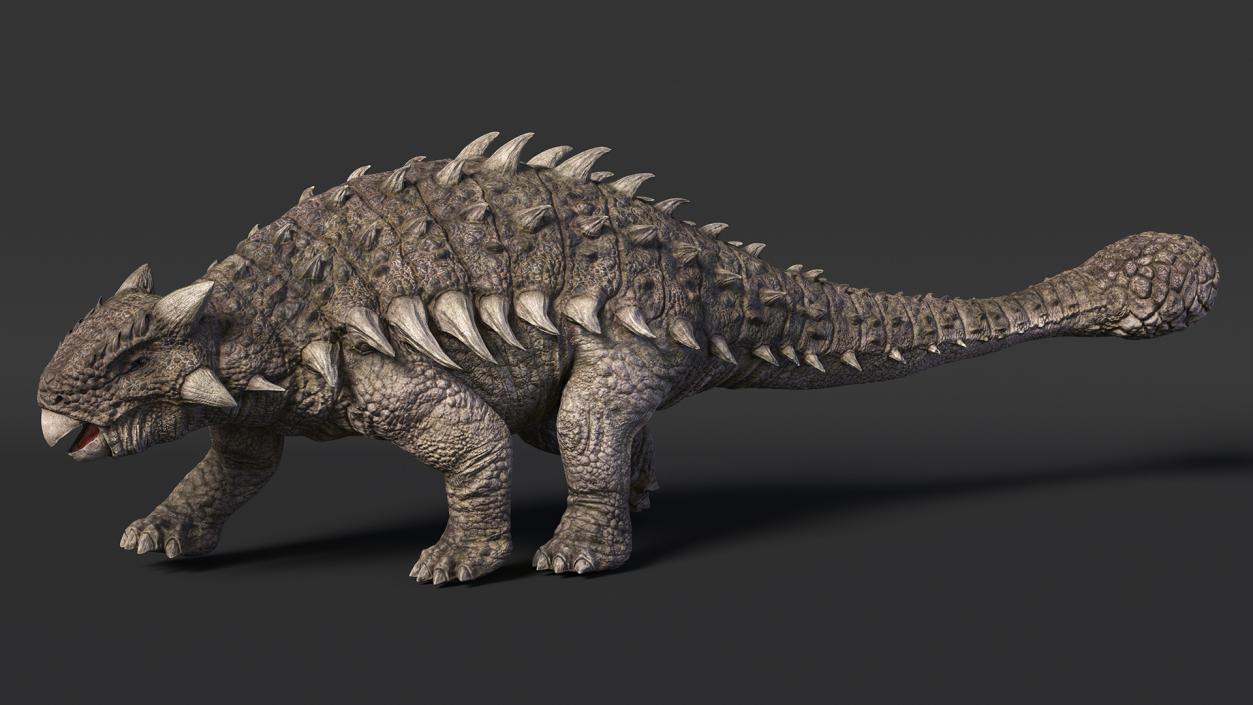 3D model Ankylosaurus from Desert Habitats Rigged