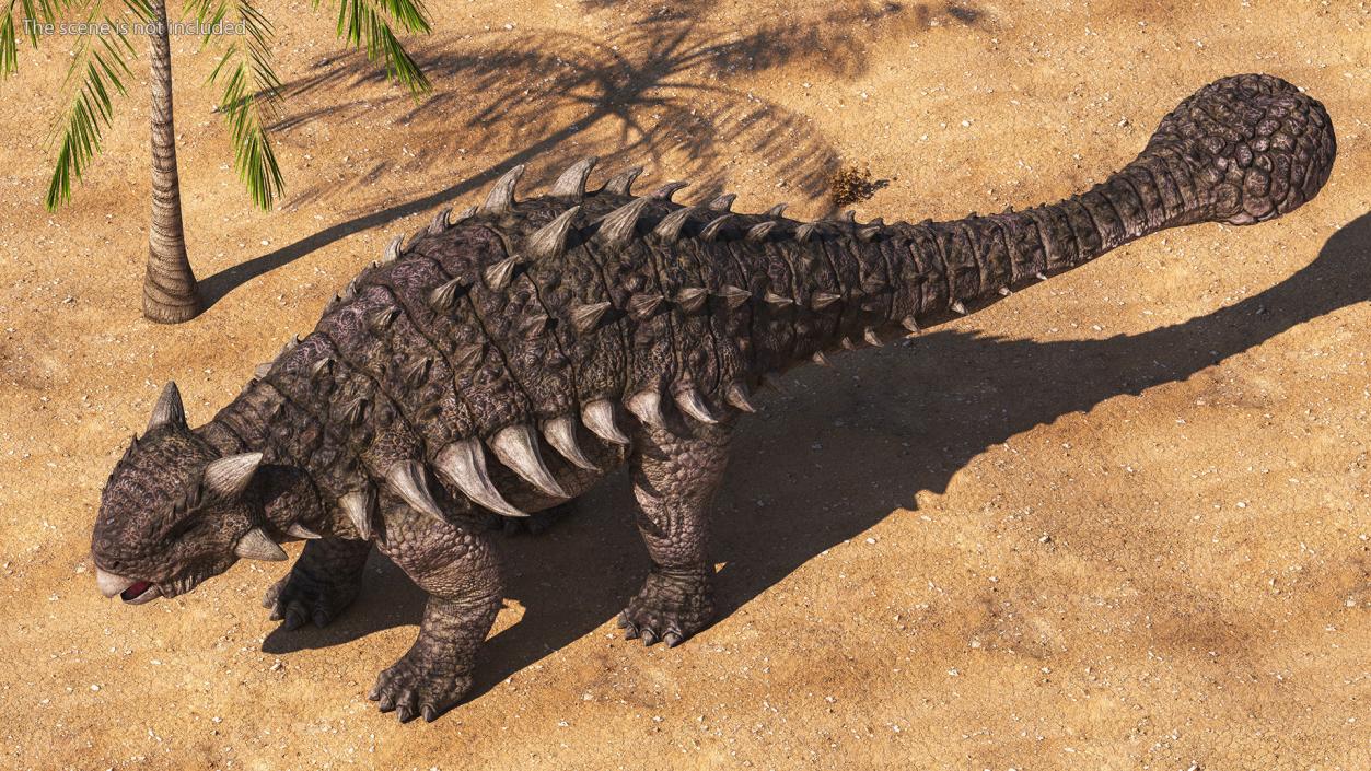 3D model Ankylosaurus from Desert Habitats Rigged