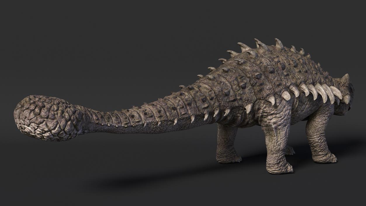 3D model Ankylosaurus from Desert Habitats Rigged