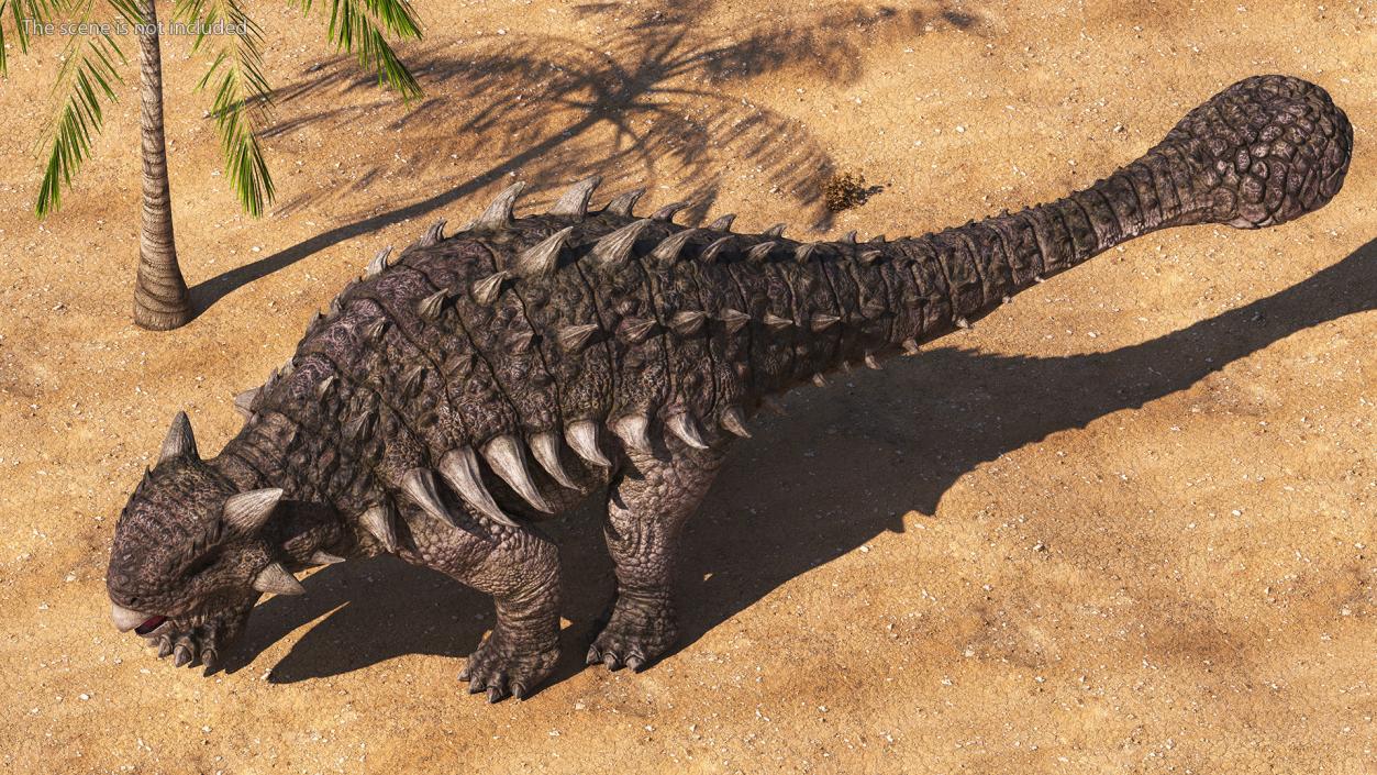 3D model Ankylosaurus from Desert Habitats Rigged