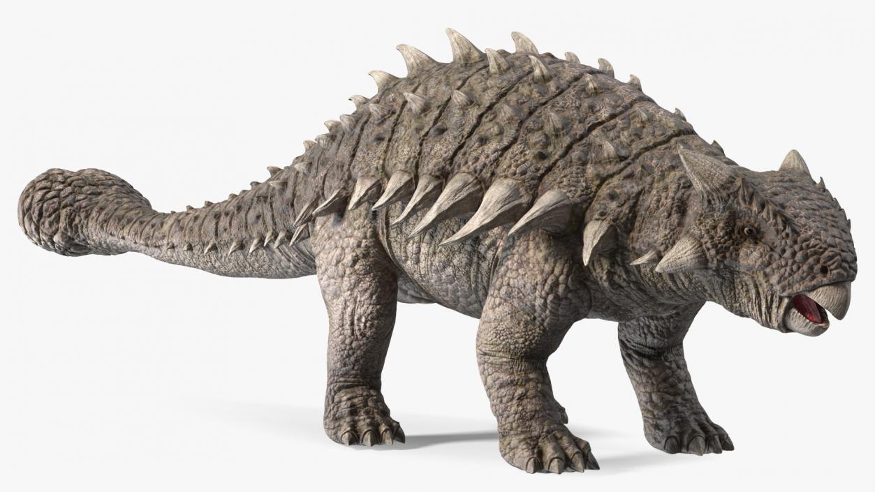 3D model Ankylosaurus from Desert Habitats Rigged