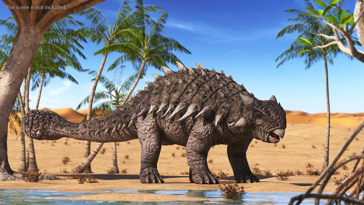 3D model Ankylosaurus from Desert Habitats Rigged