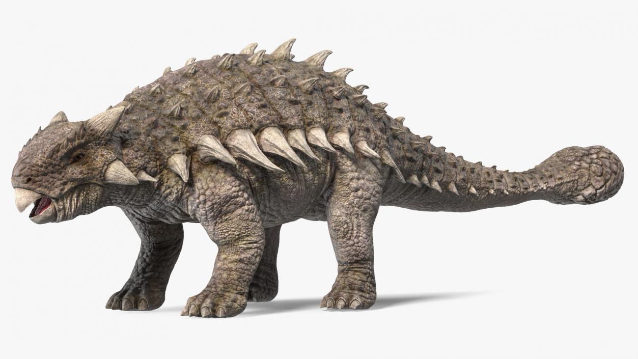 3D model Ankylosaurus from Desert Habitats Rigged