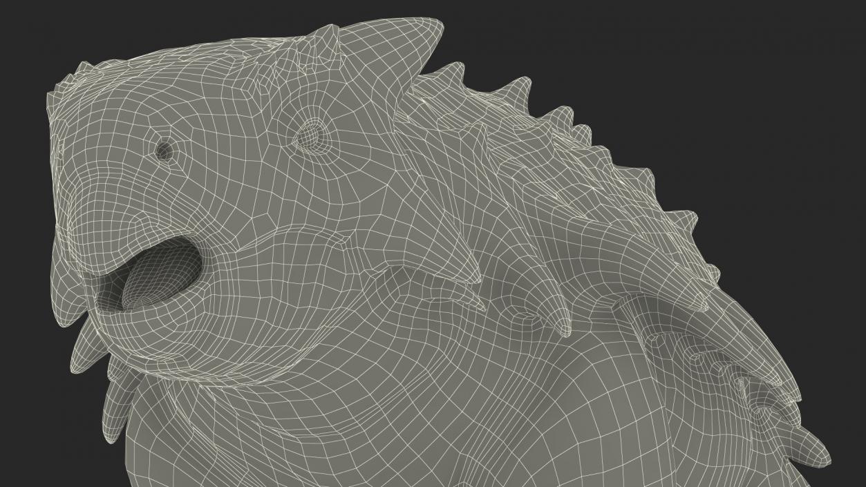 3D model Ankylosaurus from Desert Habitats Rigged