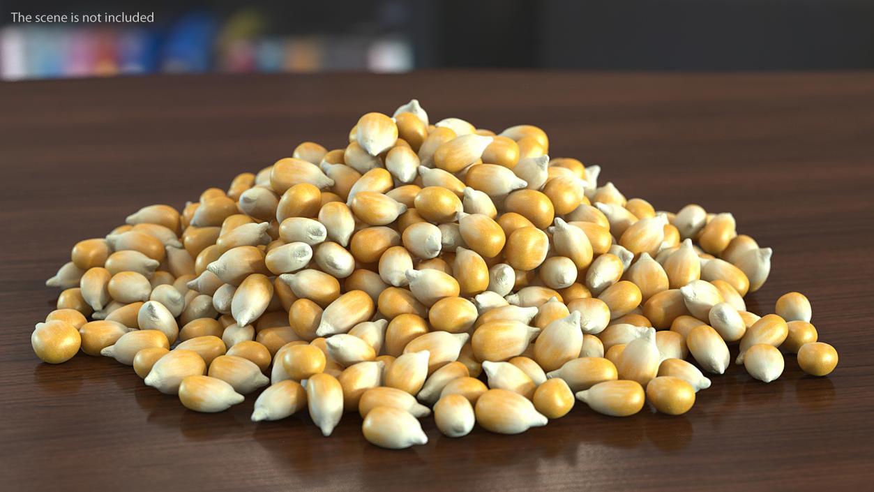 3D model Corn Seeds Pile