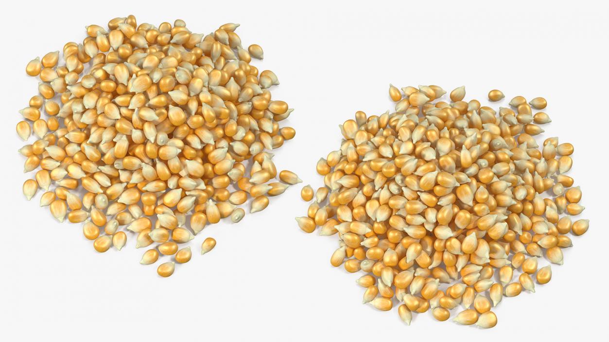 3D model Corn Seeds Pile