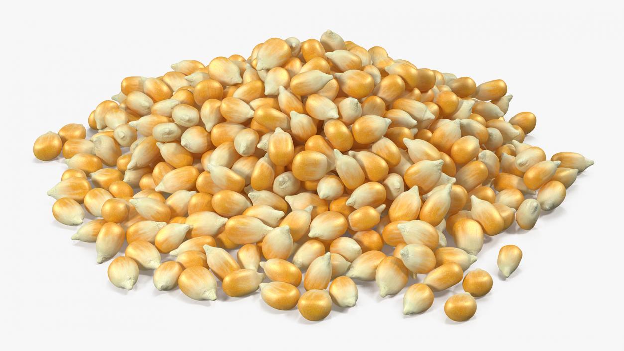 3D model Corn Seeds Pile