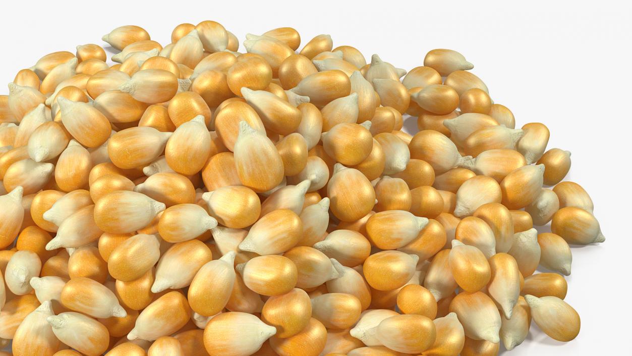 3D model Corn Seeds Pile