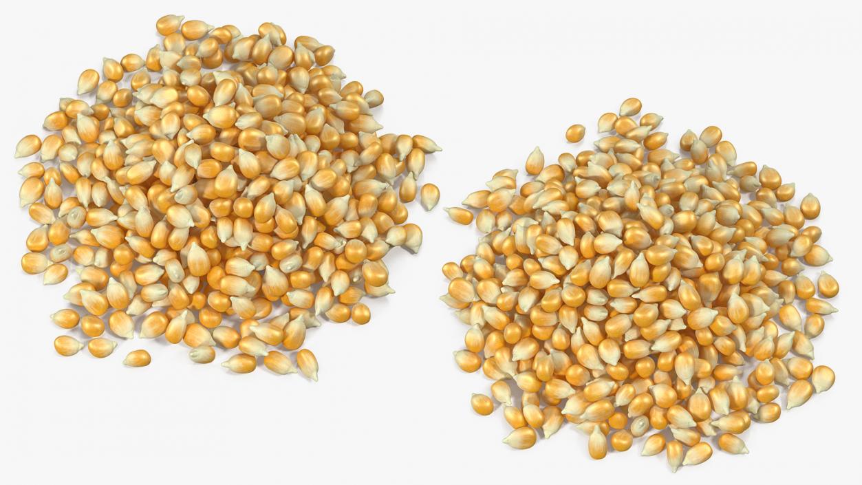 3D model Corn Seeds Pile