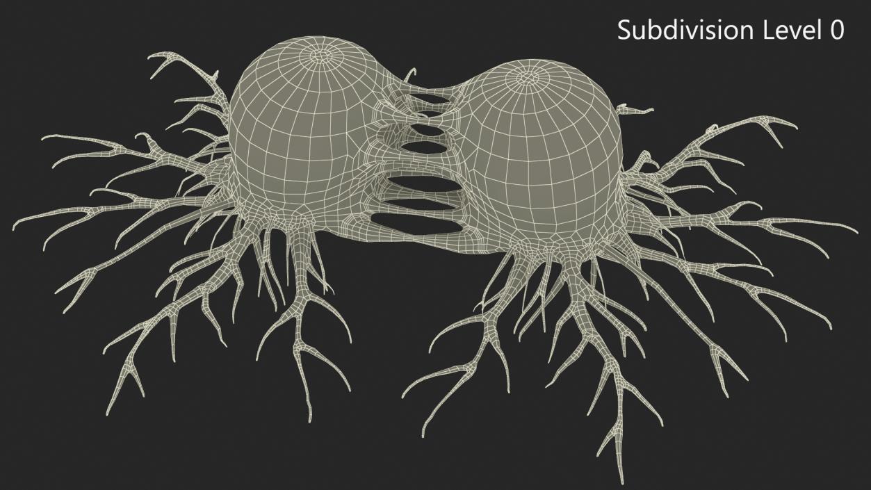 Dividing Tumor Cells Red 3D model