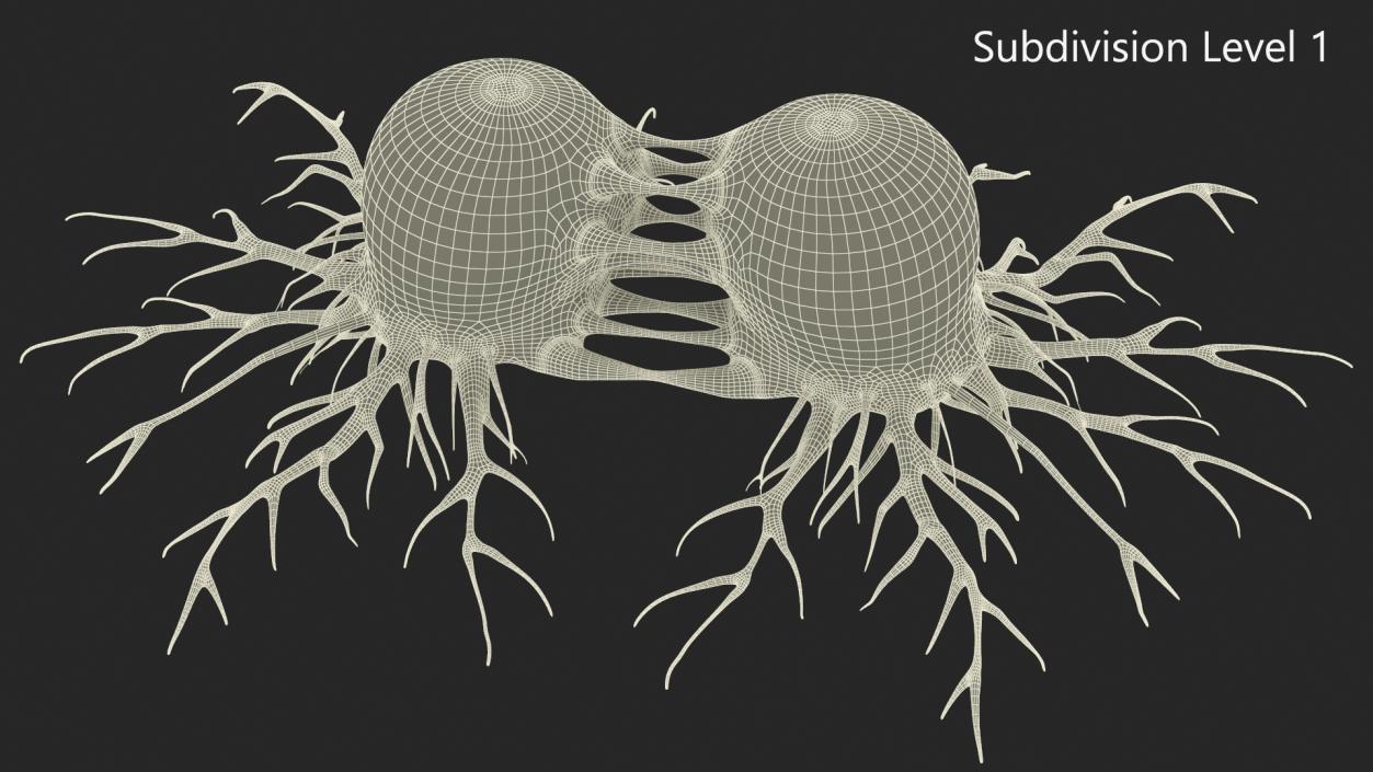 Dividing Tumor Cells Red 3D model
