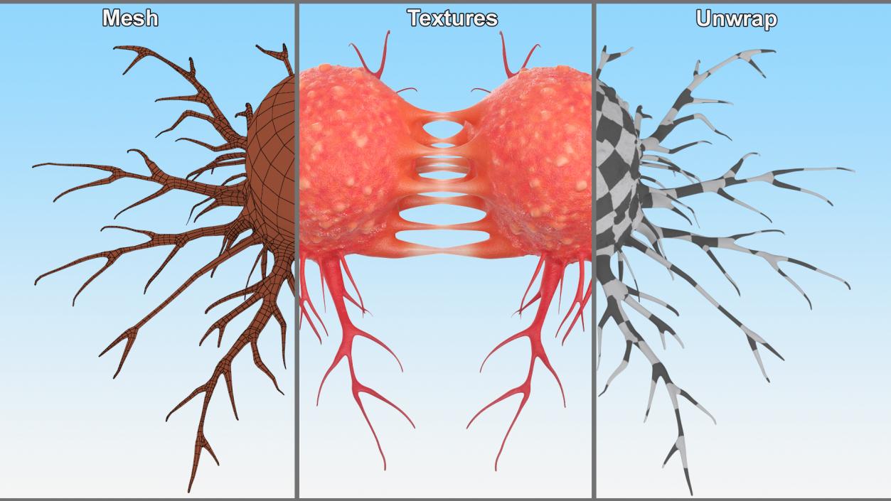 Dividing Tumor Cells Red 3D model