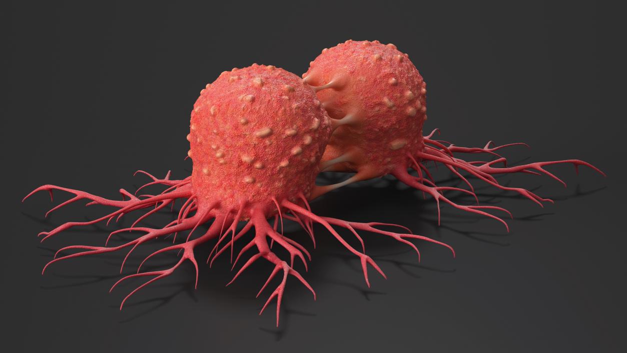 Dividing Tumor Cells Red 3D model