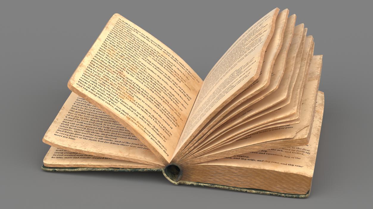 3D model Old Open Books Collection