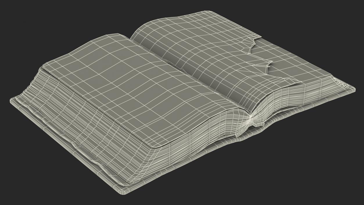 3D model Old Open Books Collection