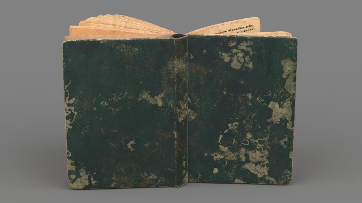 3D model Old Open Books Collection