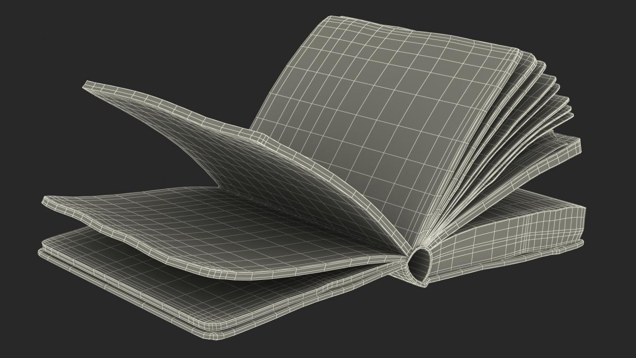 3D model Old Open Books Collection