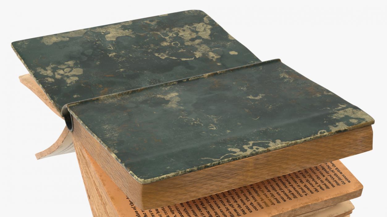 3D model Old Open Books Collection