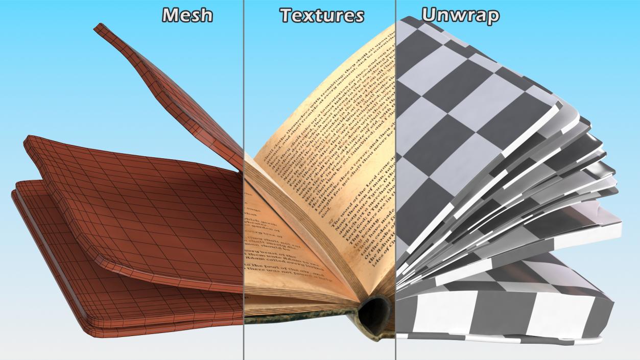 3D model Old Open Books Collection