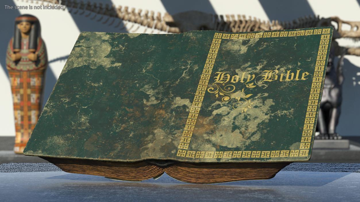 3D model Old Open Books Collection