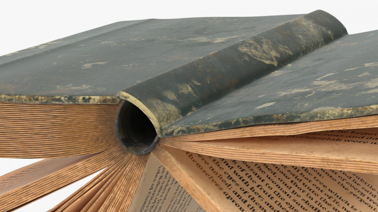 3D model Old Open Books Collection