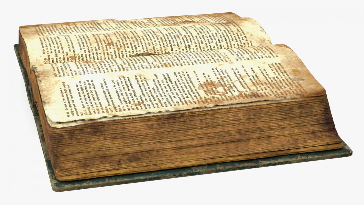 3D model Old Open Books Collection