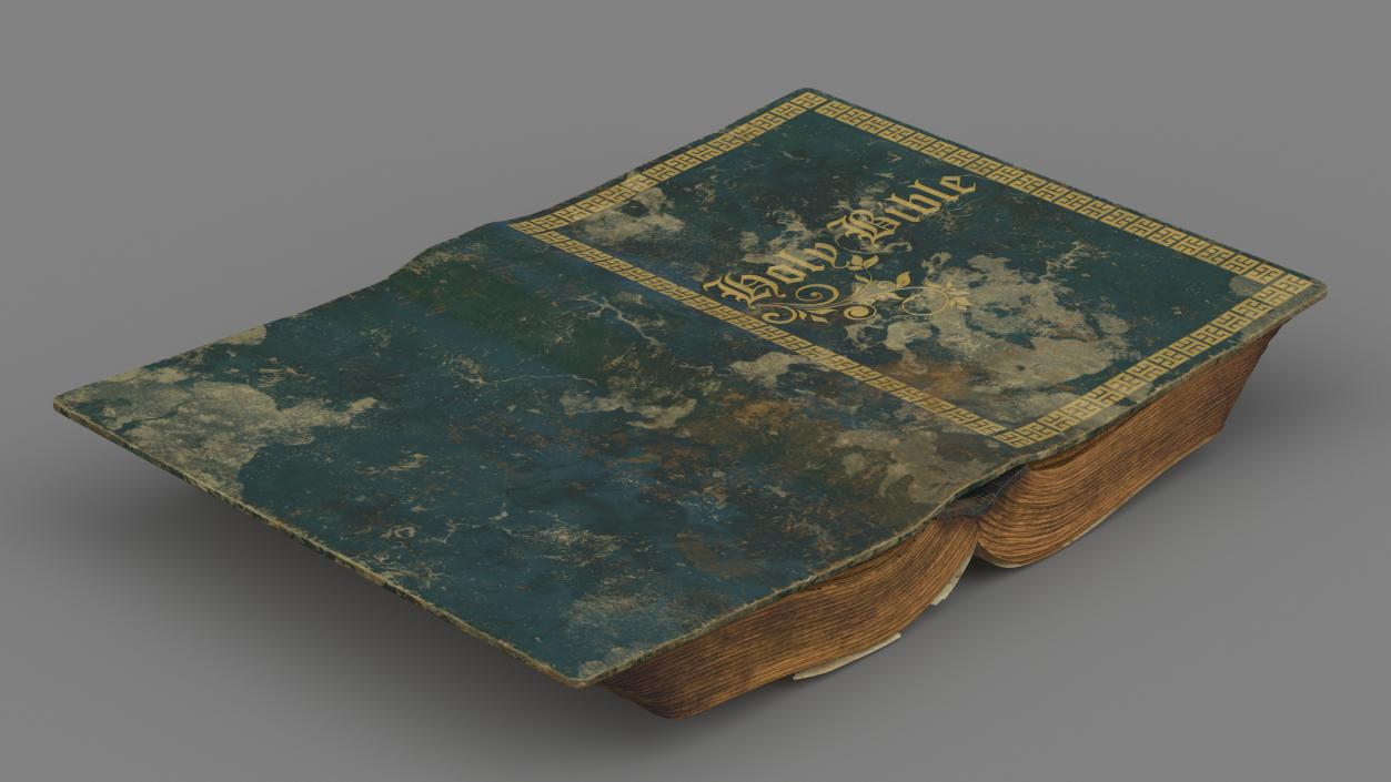 3D model Old Open Books Collection