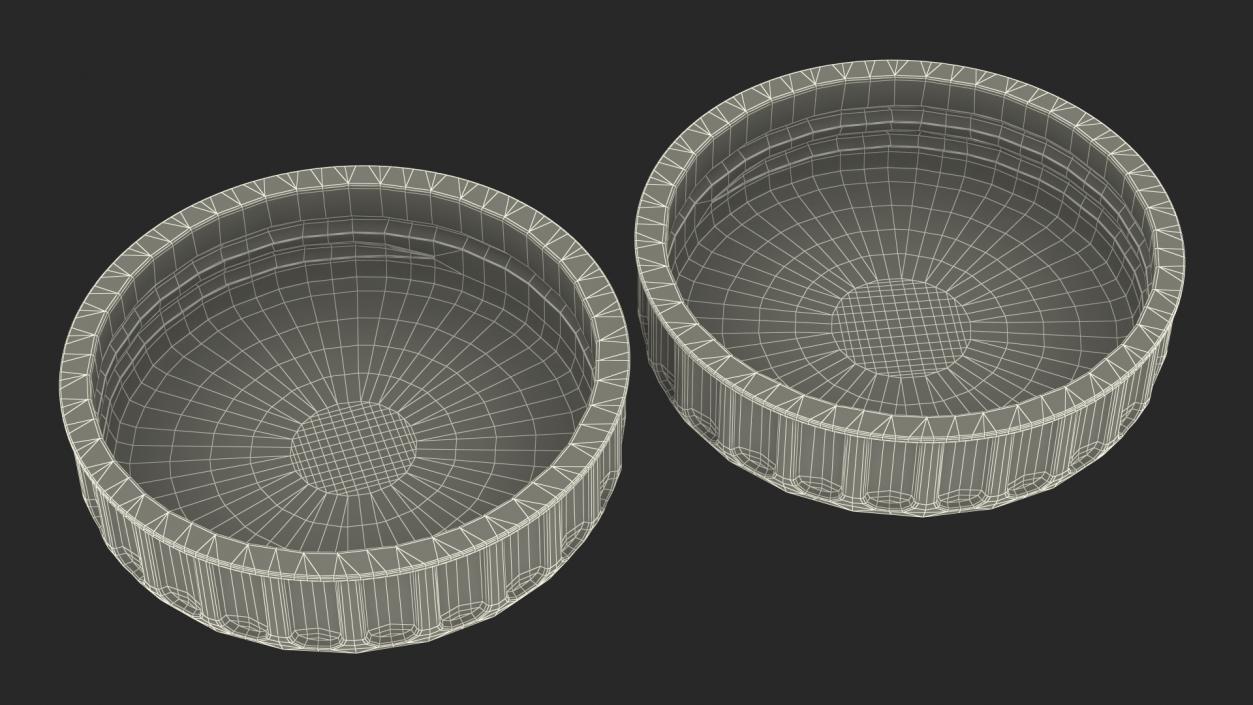 3D Bausch and Lomb Contact Lens Case model