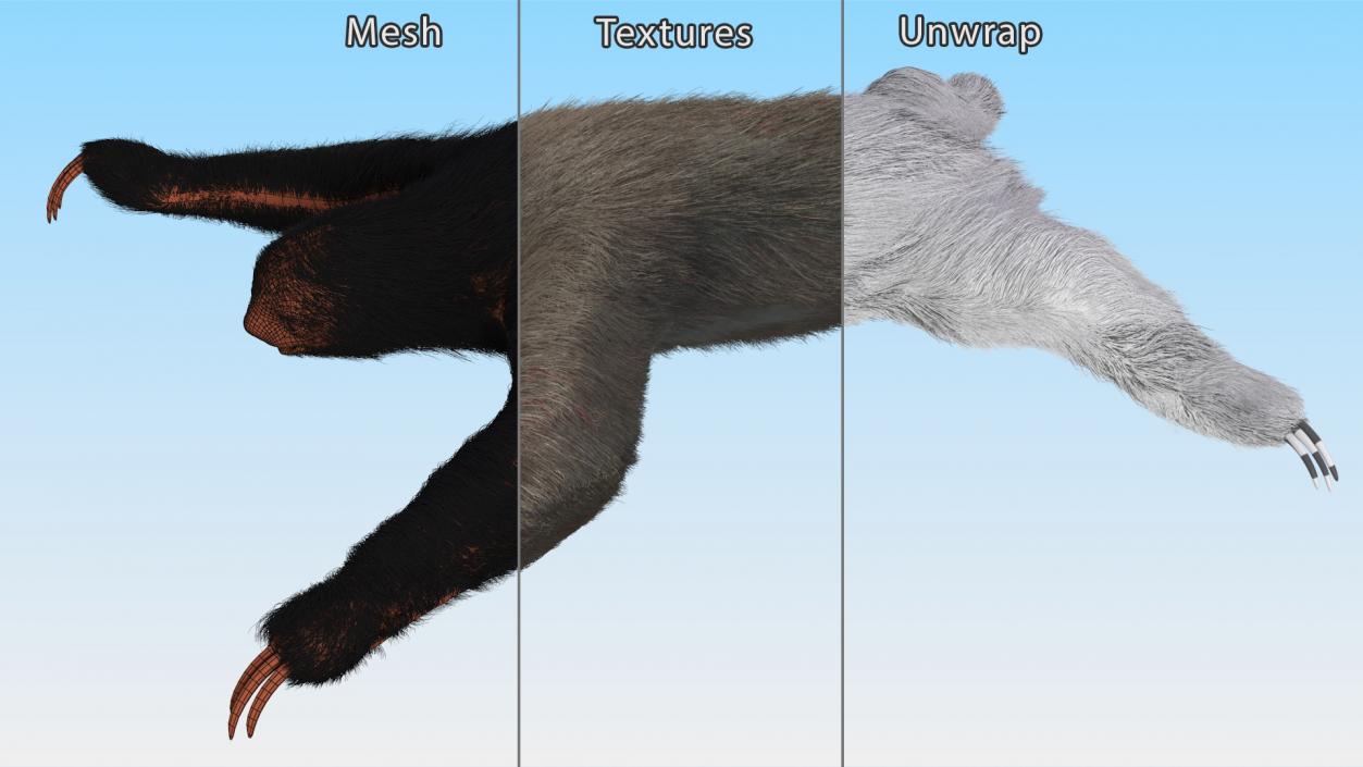 Sloth Fur 3D model