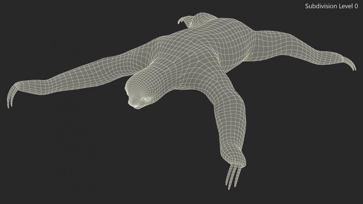 Sloth Fur 3D model