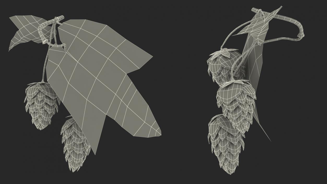 3D model Fresh Branch of Hops