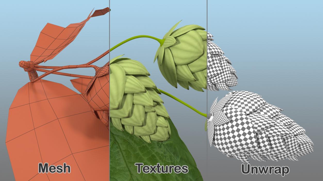 3D model Fresh Branch of Hops