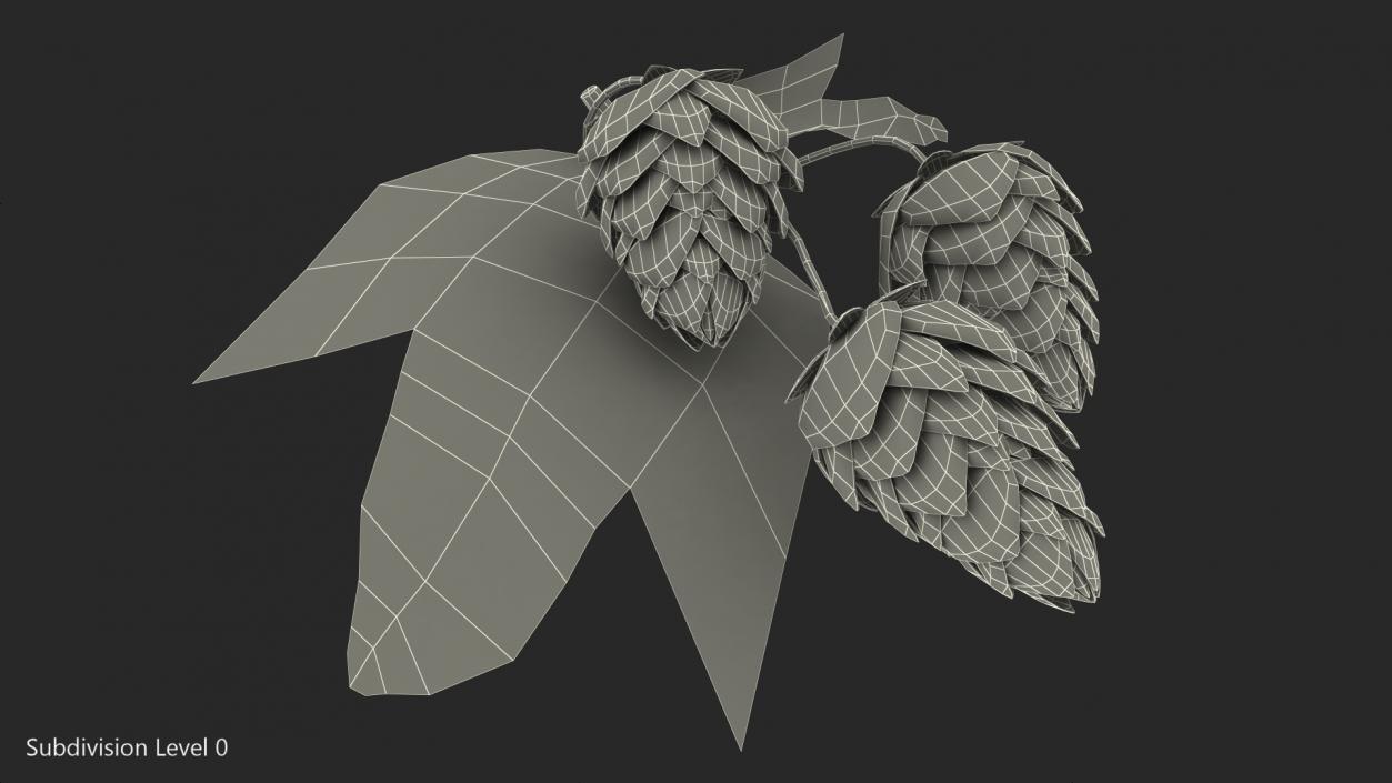 3D model Fresh Branch of Hops