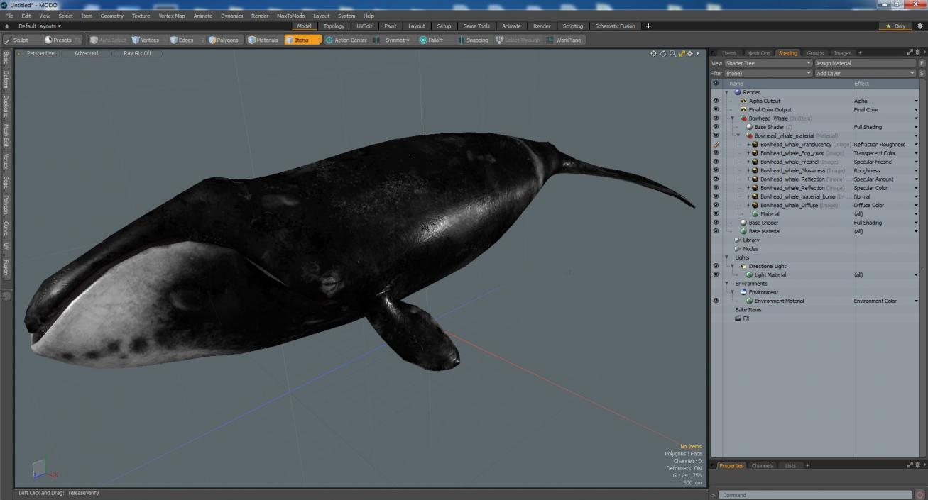 3D Bowhead Whale model