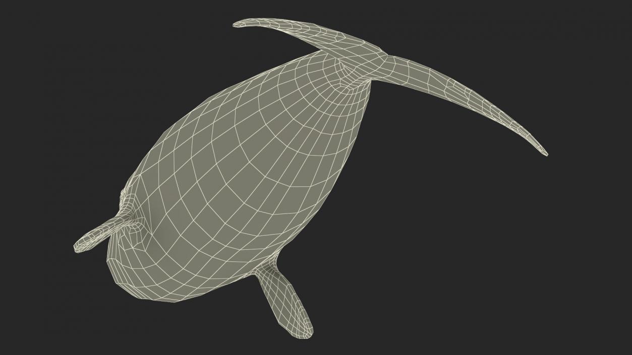 3D Bowhead Whale model