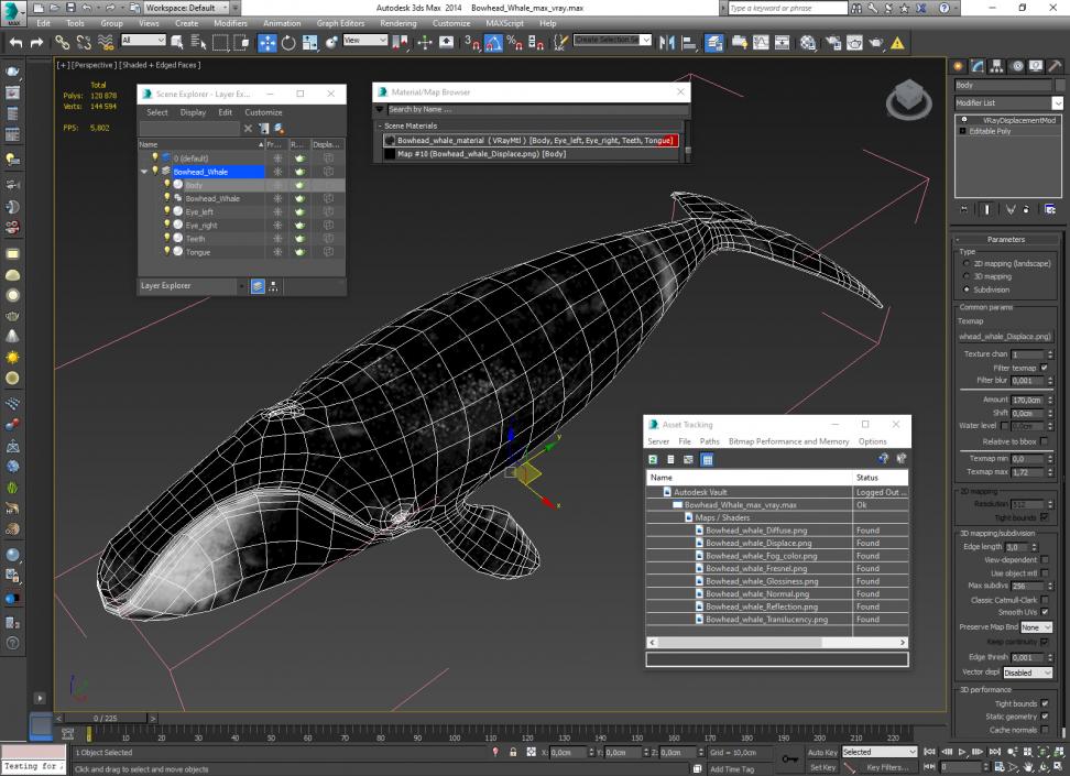 3D Bowhead Whale model