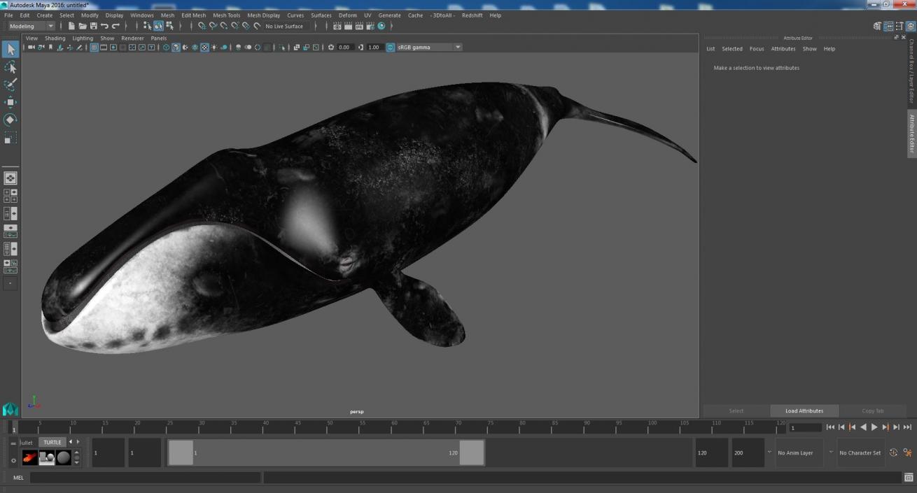 3D Bowhead Whale model