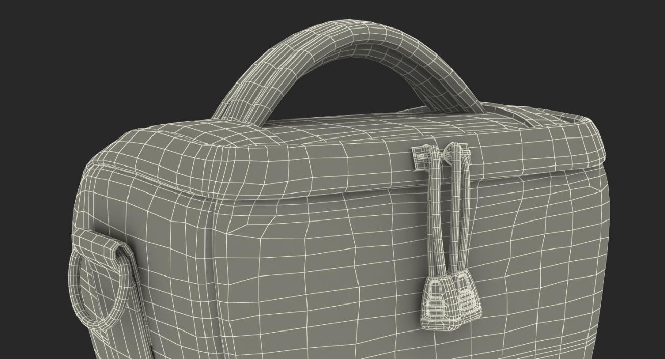 Nikon D500 and Bag Collection 3D model