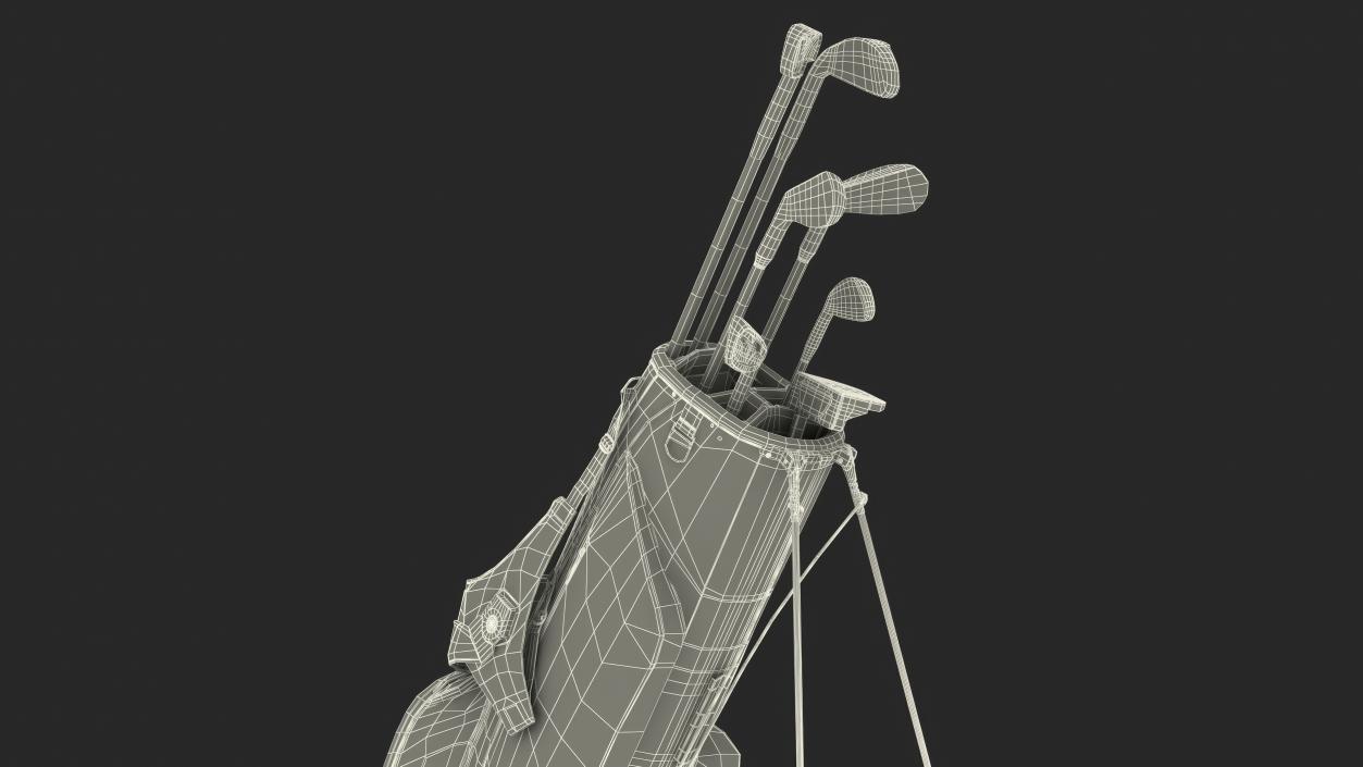 3D Golf Bag with Clubs 2