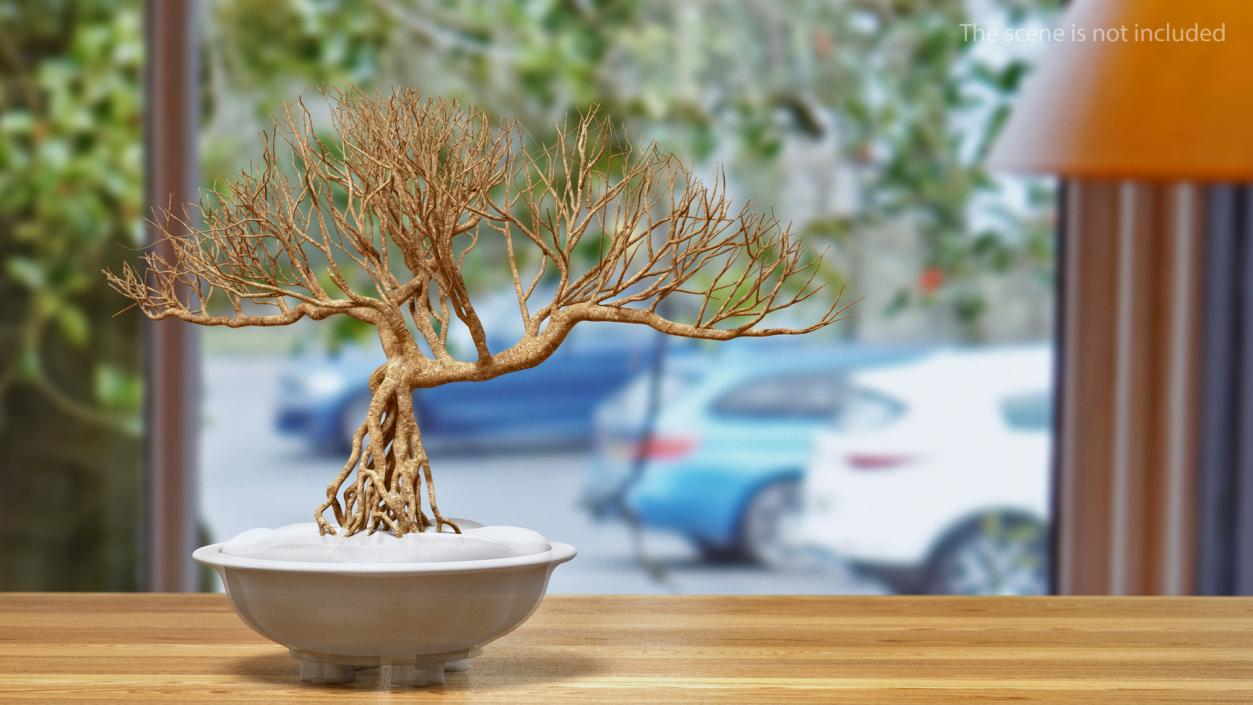 3D Bare Bonsai