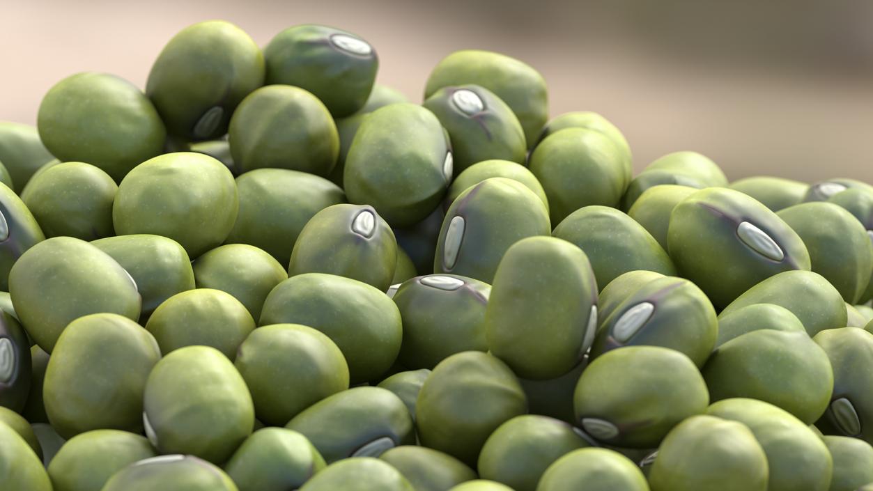 3D model Mung Beans Pile