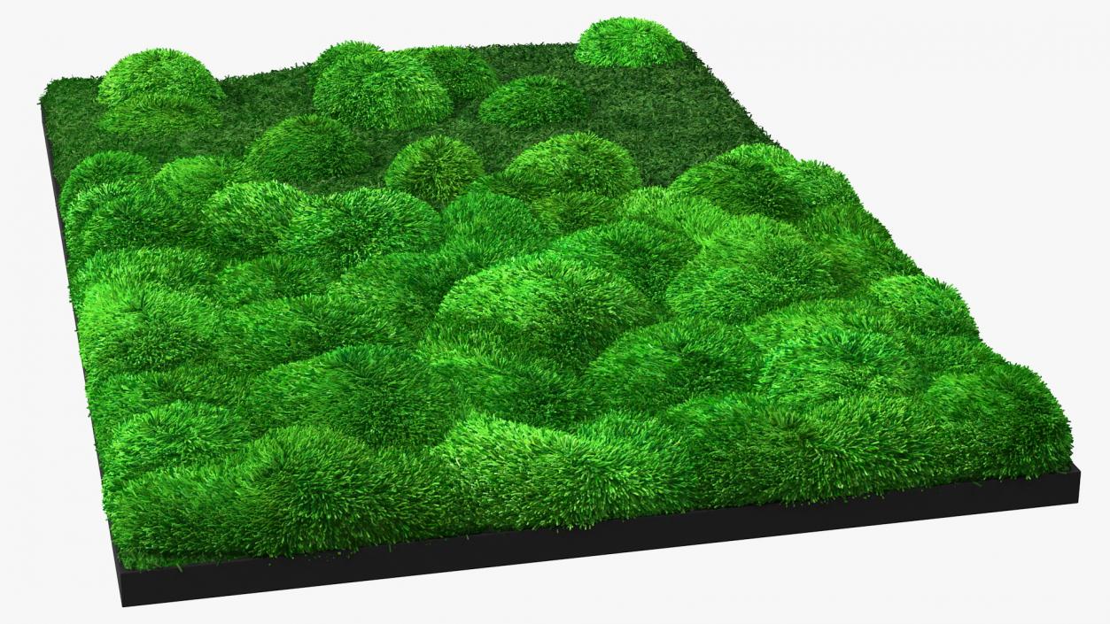 Evergreen Moss Vertical Garden Fur 3D model