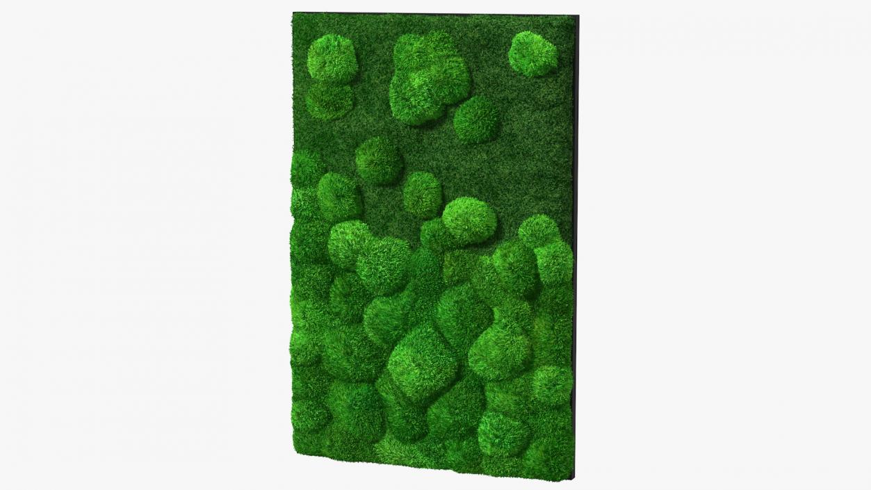 Evergreen Moss Vertical Garden Fur 3D model