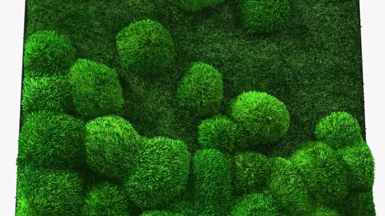 Evergreen Moss Vertical Garden Fur 3D model