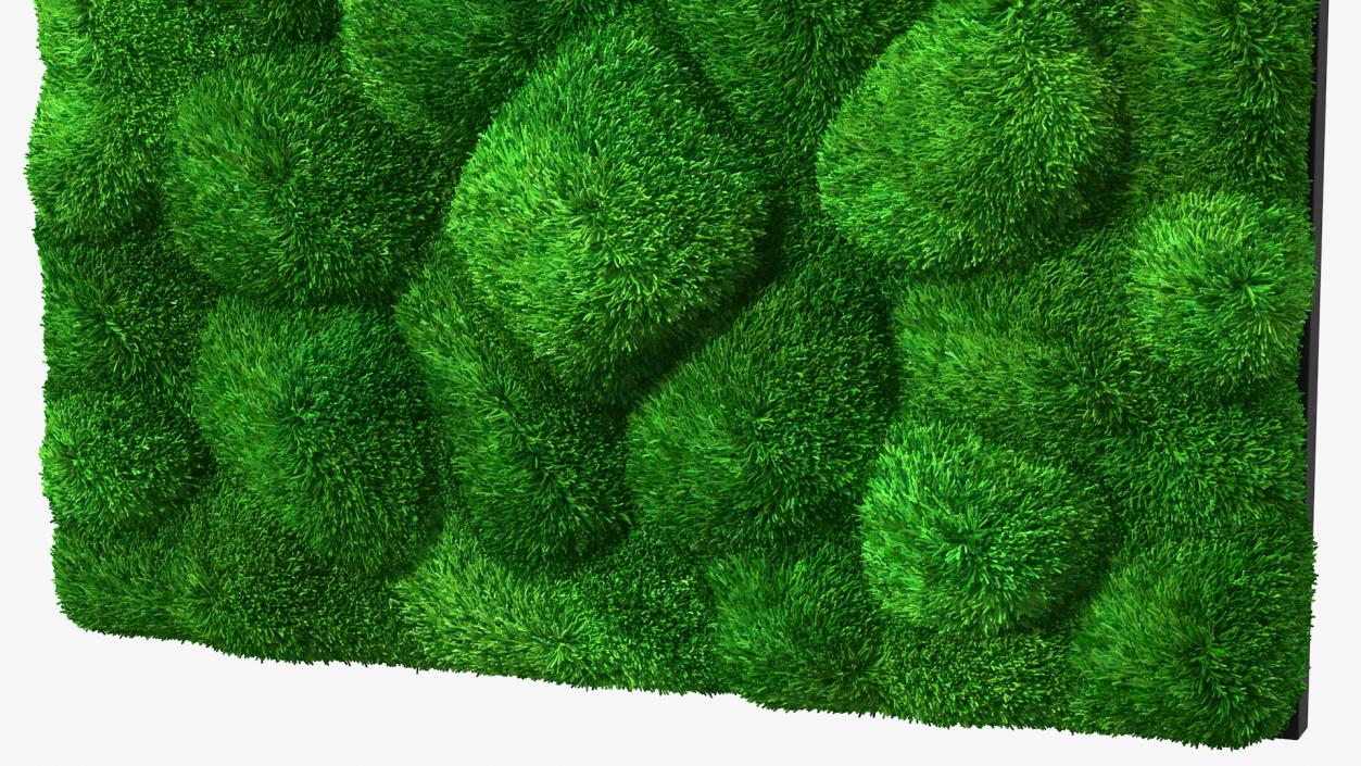 Evergreen Moss Vertical Garden Fur 3D model