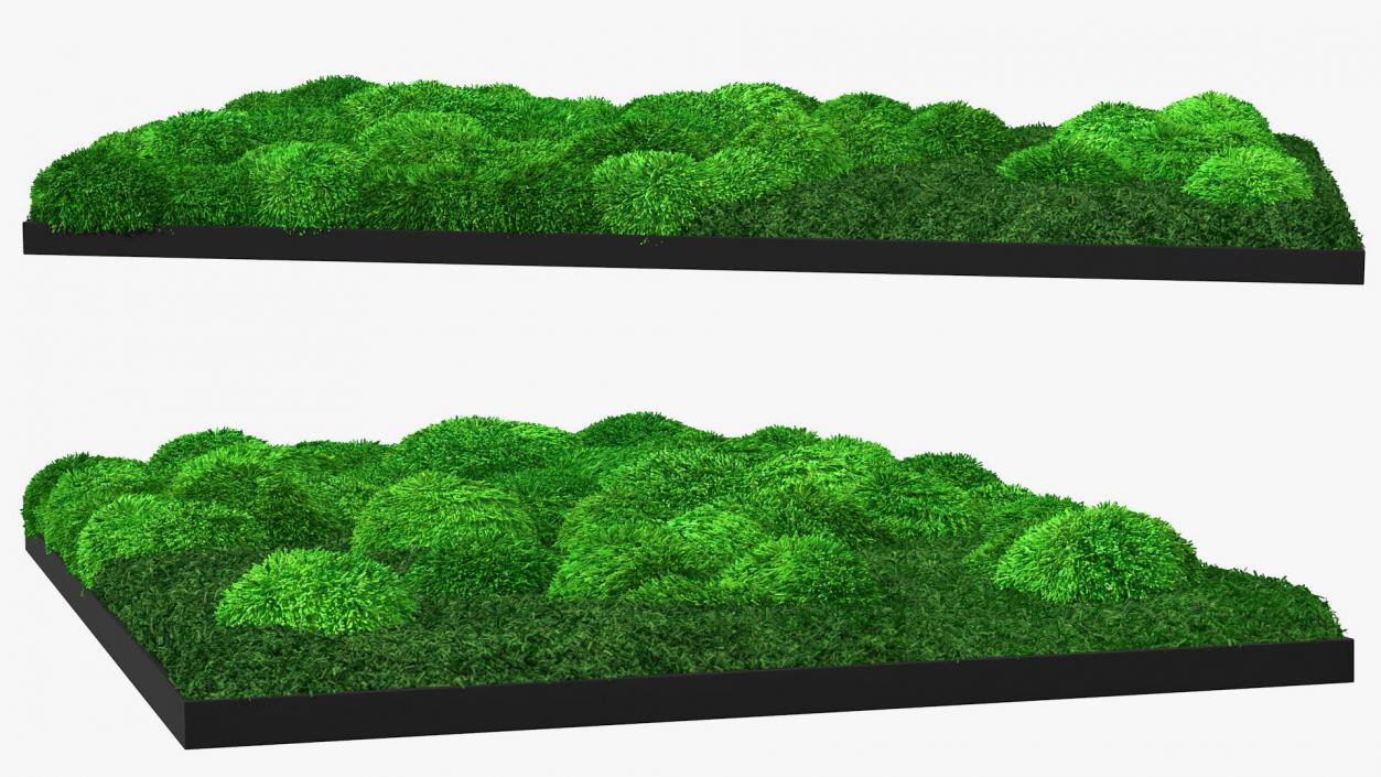 Evergreen Moss Vertical Garden Fur 3D model