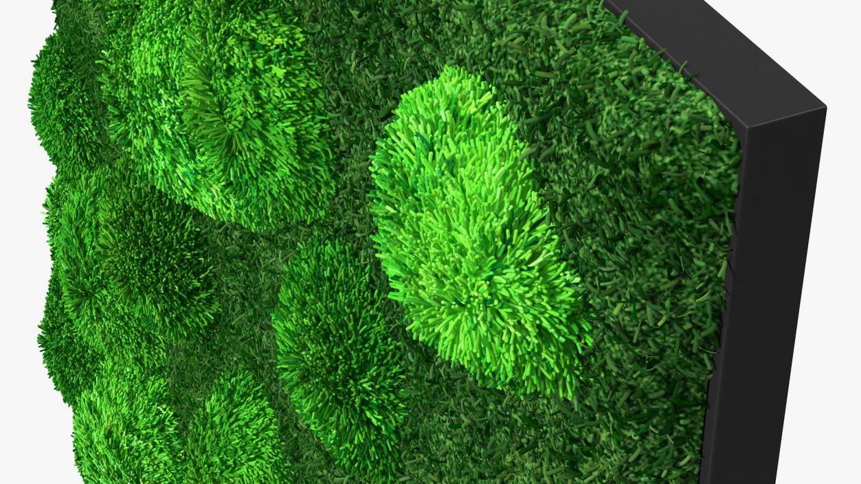 Evergreen Moss Vertical Garden Fur 3D model