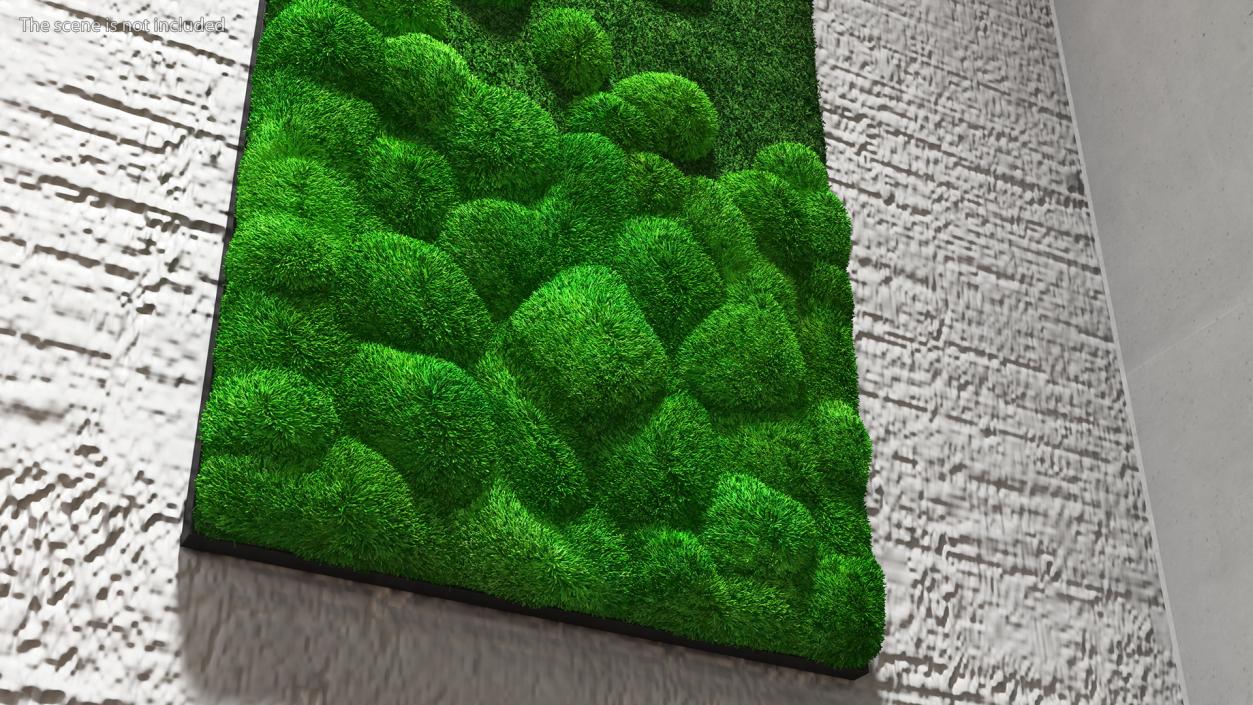 Evergreen Moss Vertical Garden Fur 3D model